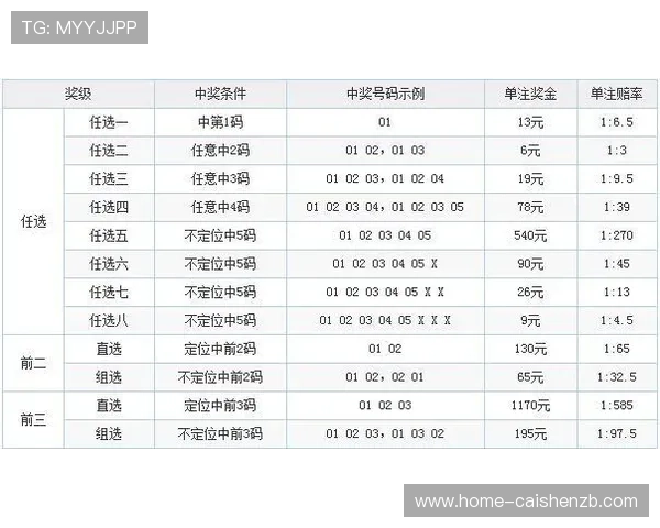 幸运11选5大厅最新玩法技巧全解析助您轻松提高中奖率