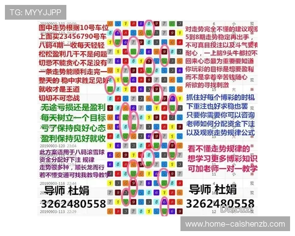 极速飞艇玩法技巧与投注技巧全解析详尽指南
