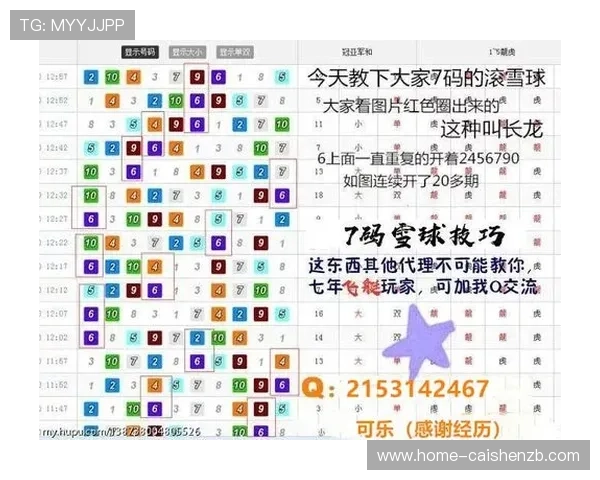 极速飞艇投注技巧与盈利策略全面解析指南